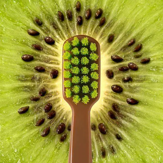 K-vitamin tartalm&aacute;nak k&ouml;sz&ouml;nhetően a kivi cs&ouml;kkenti a fogszuvasod&aacute;s kock&aacute;zat&aacute;t, &eacute;s lass&iacute;tja a csontritkul&aacute;si folyamatokat is.