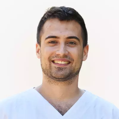 Dr. Kokas Attila